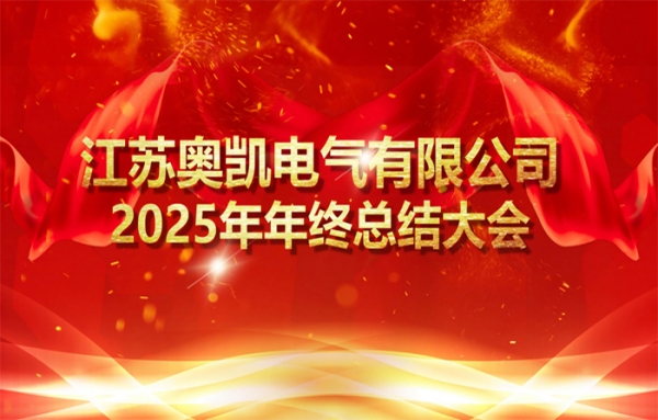 凝心聚力谋发展 砥砺奋进启新程——江苏网投平台2025年年终会议圆满召开
