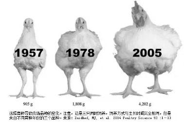 网投平台