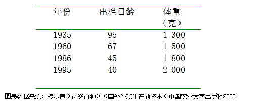 网投平台