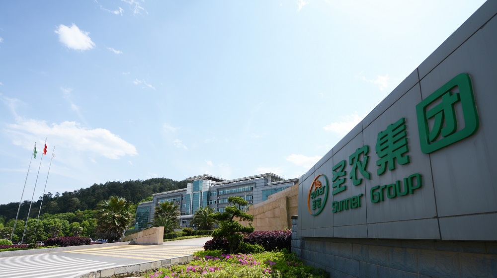 网投平台