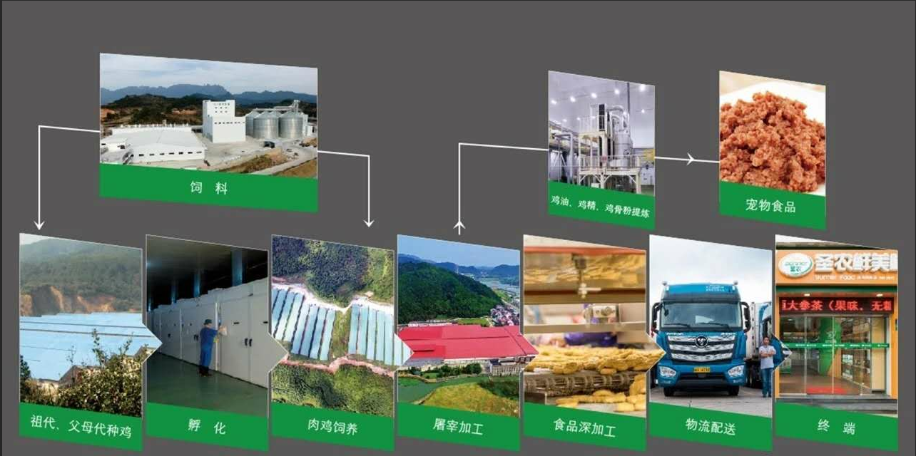 网投平台