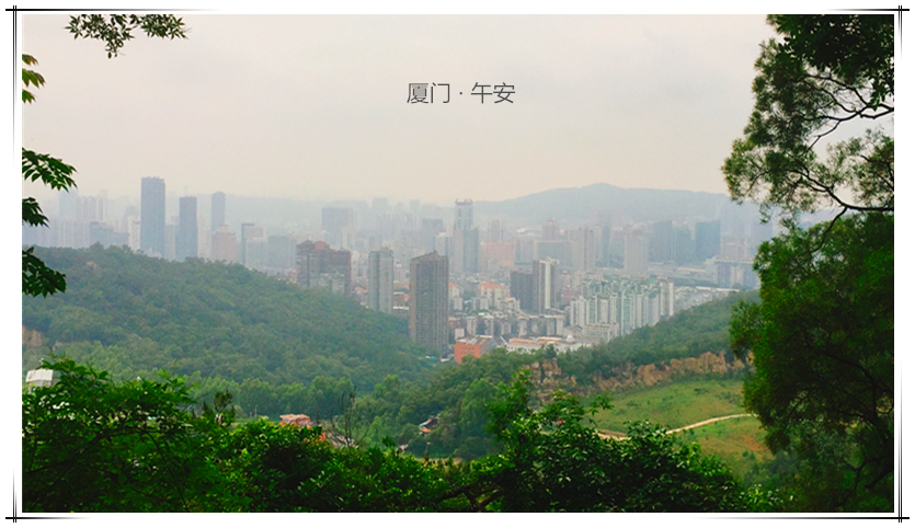 网投平台