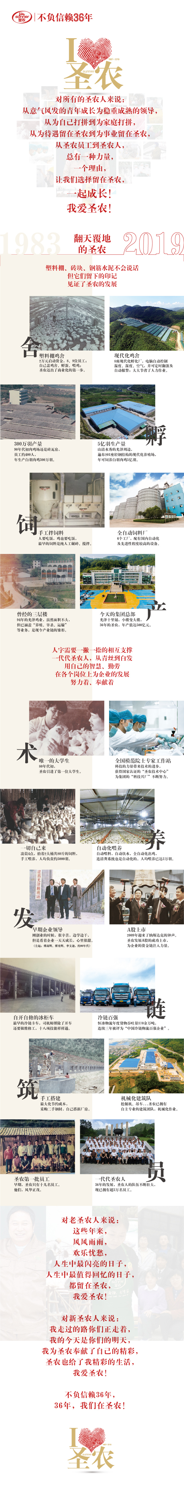 网投平台