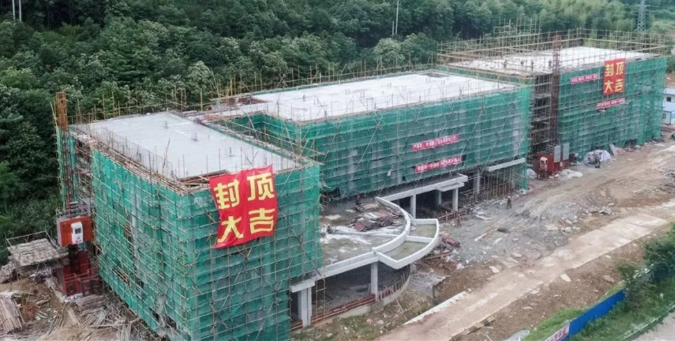 网投平台