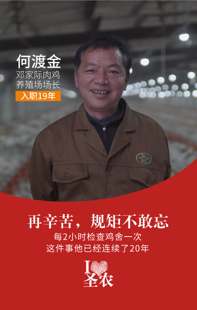 网投平台