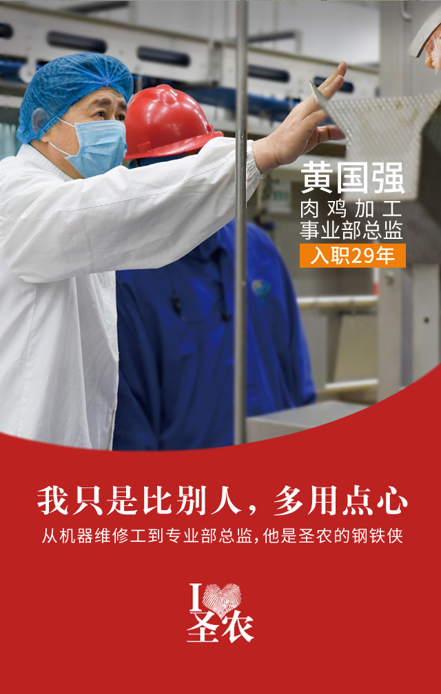网投平台