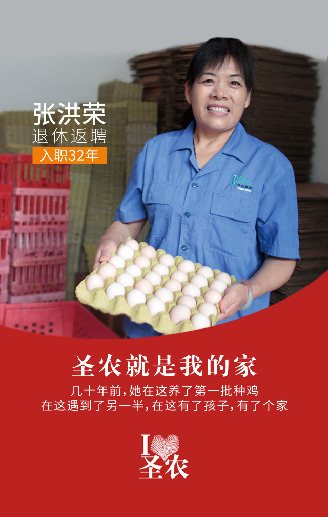 网投平台