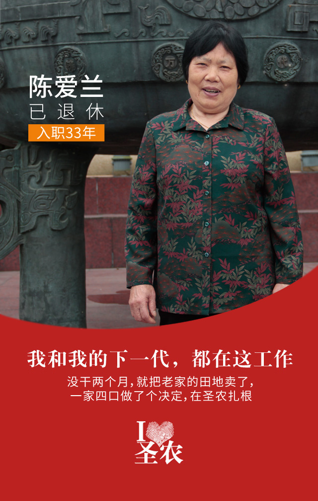 网投平台
