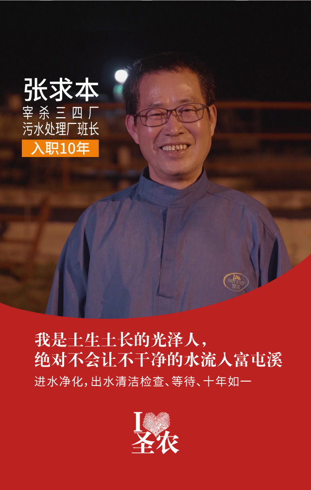 网投平台