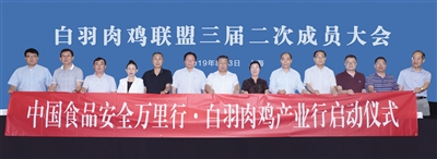 网投平台