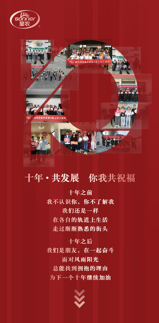 网投平台