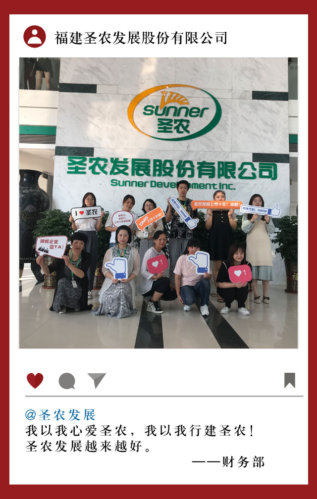 网投平台