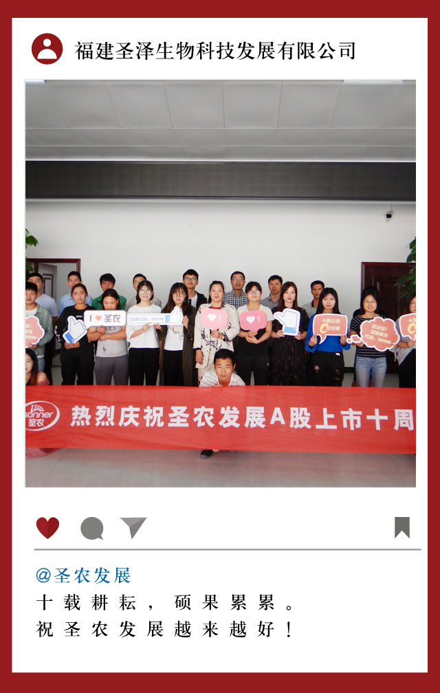 网投平台