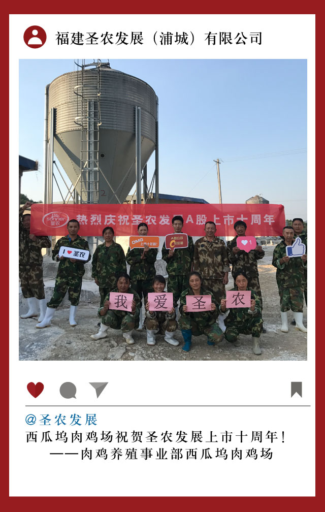 网投平台