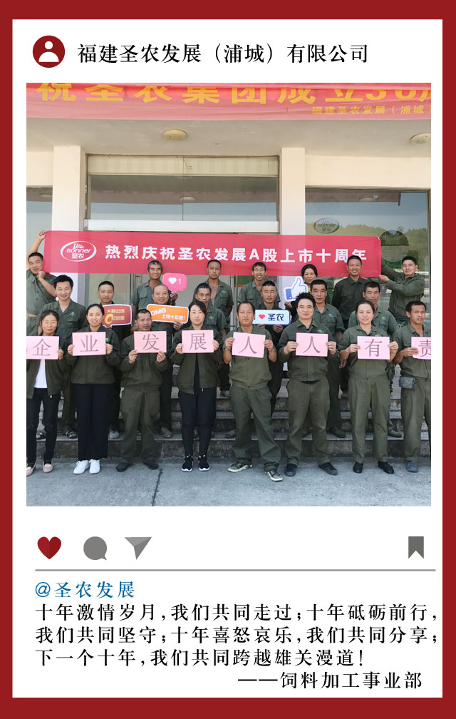 网投平台
