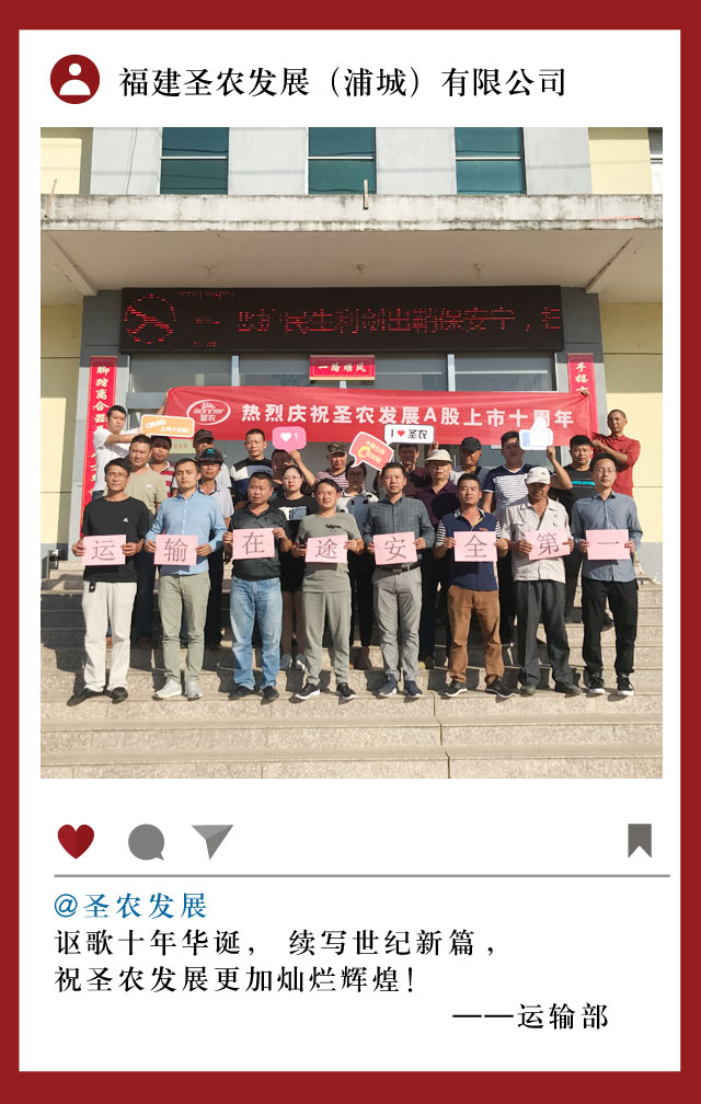 网投平台