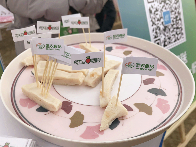网投平台