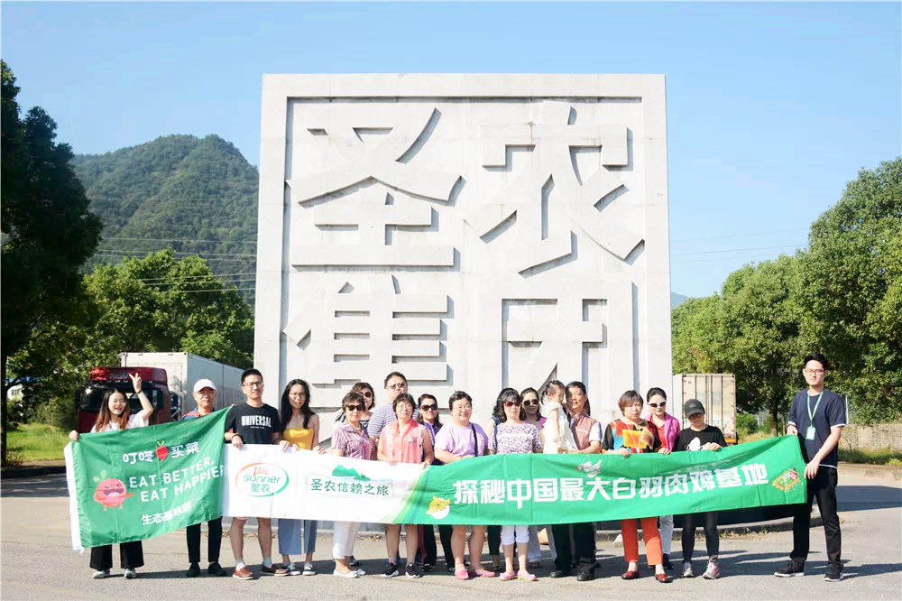 网投平台