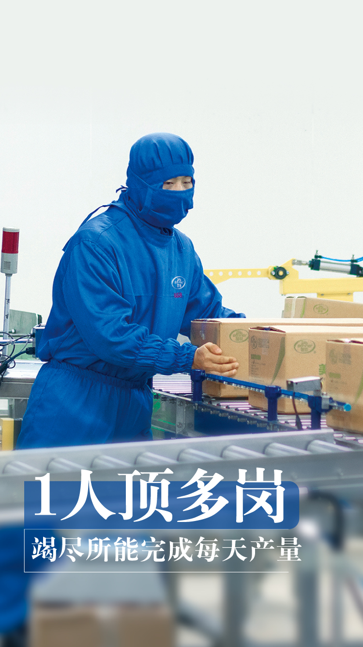 网投平台