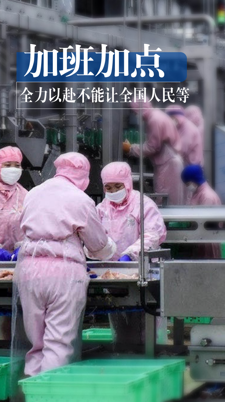 网投平台