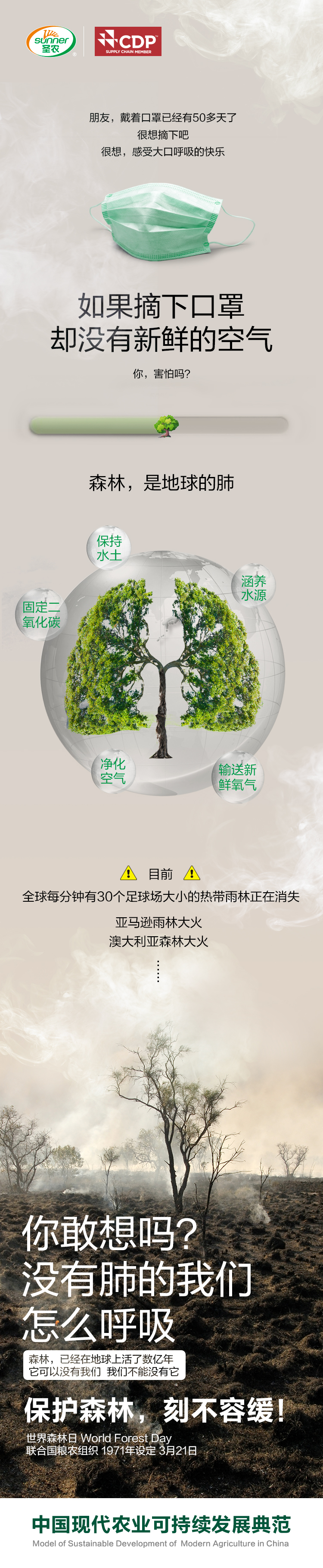 网投平台