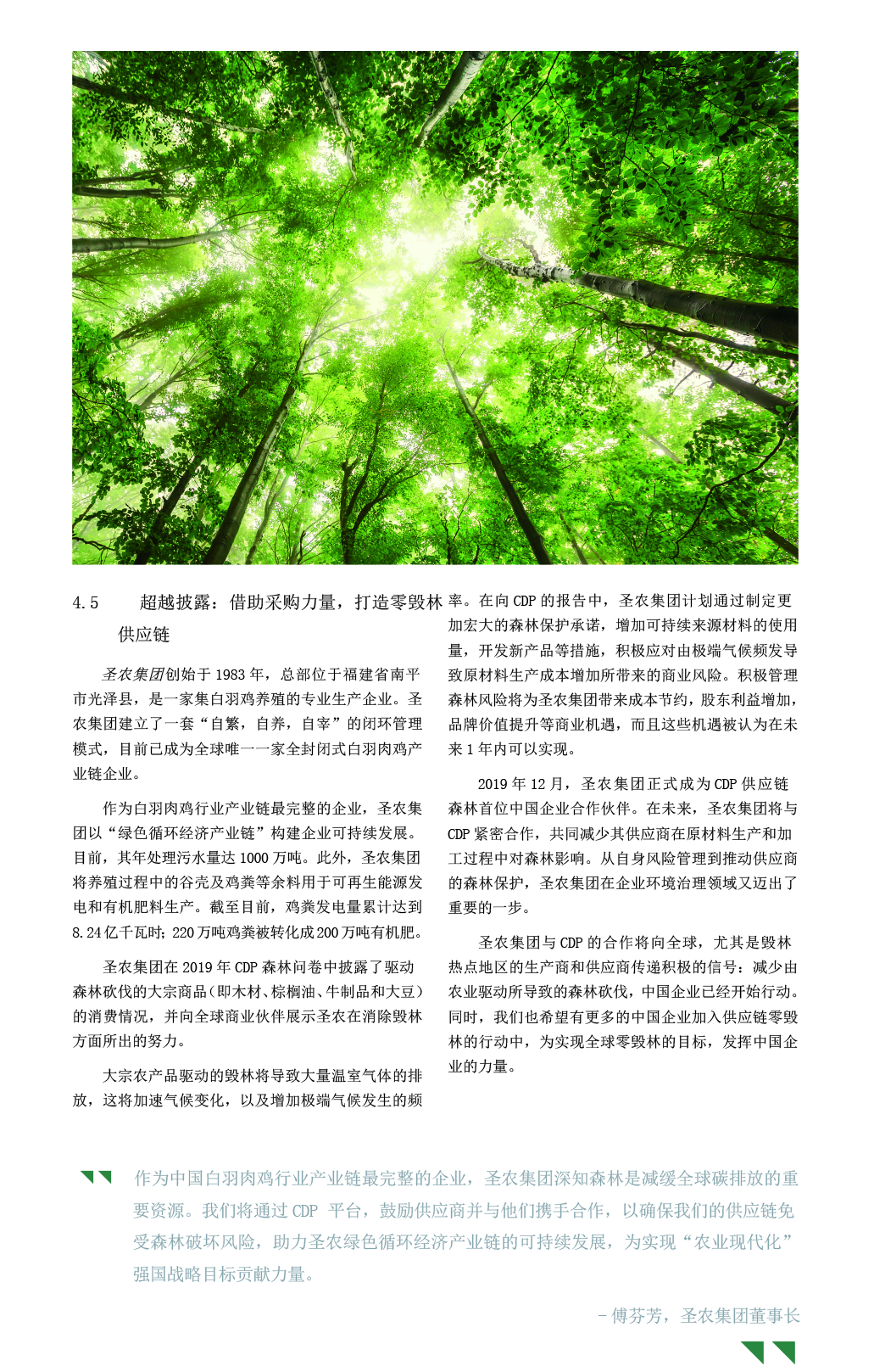 网投平台