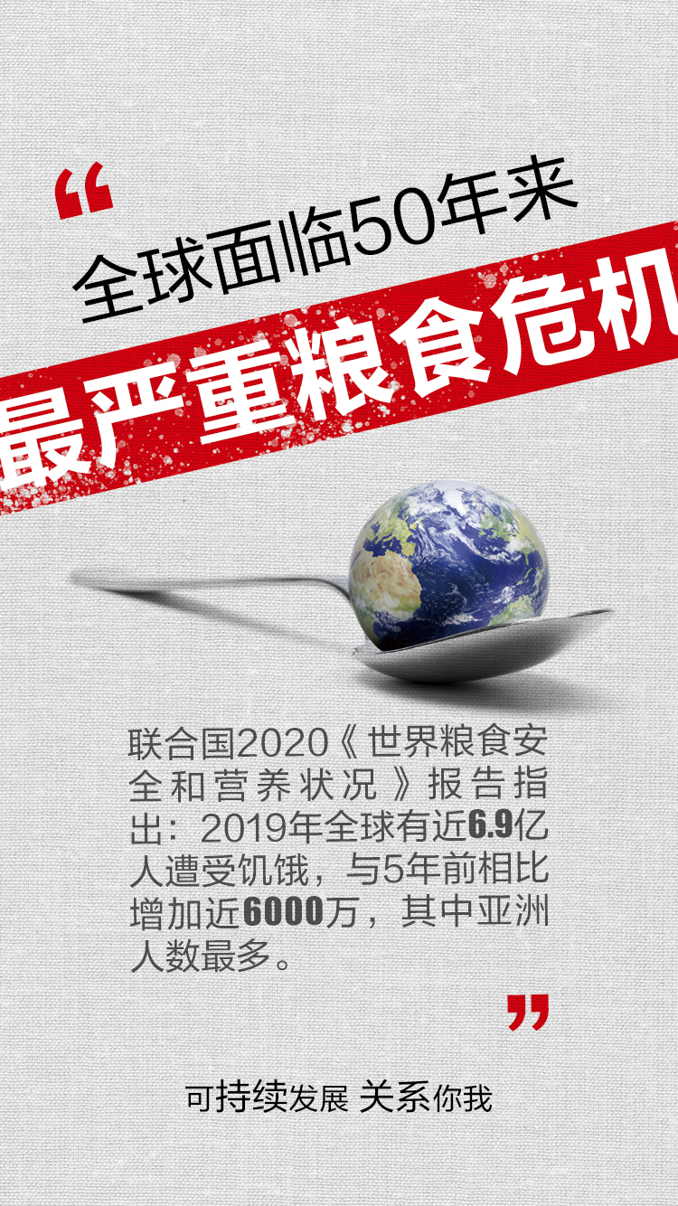 网投平台