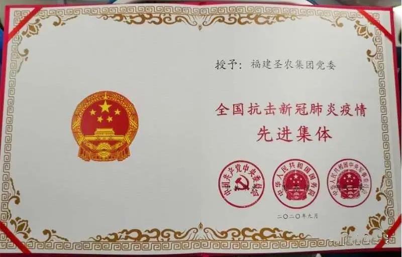 网投平台