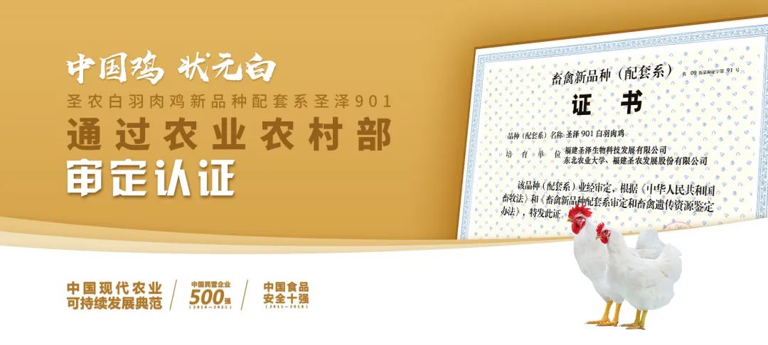 网投平台