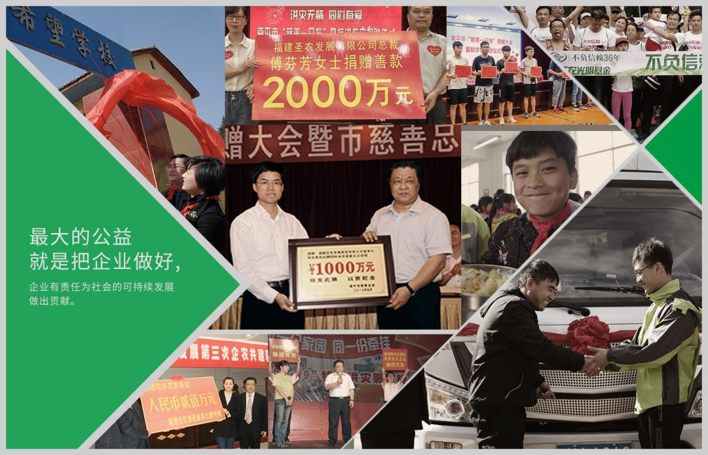 网投平台