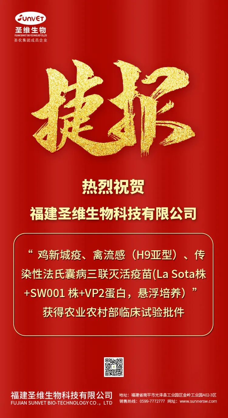 网投平台