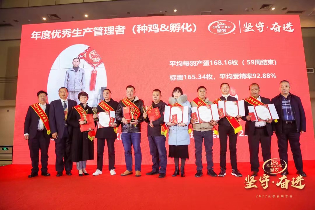 网投平台