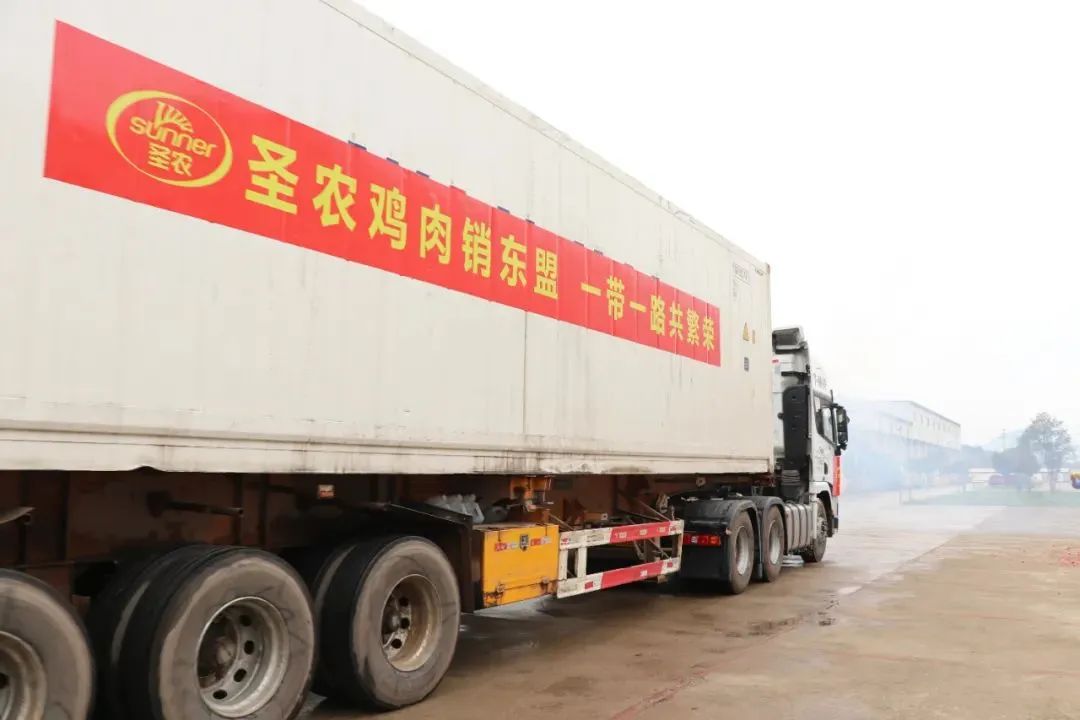 网投平台
