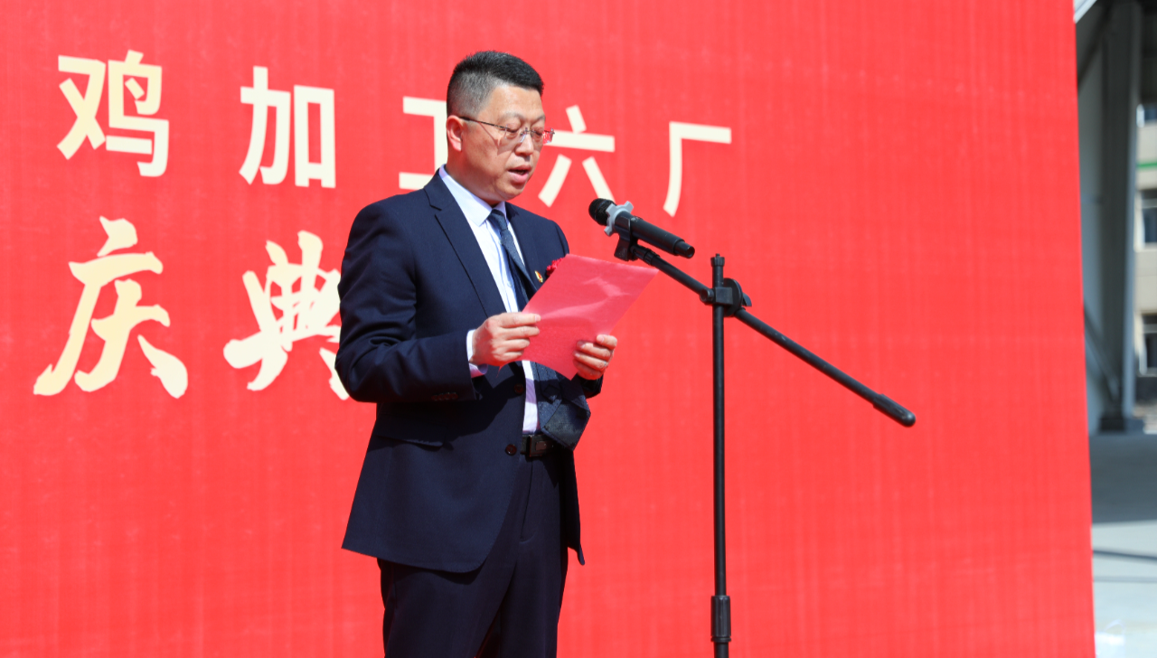 网投平台