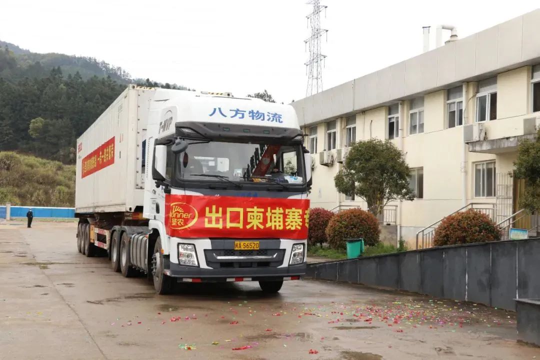 网投平台