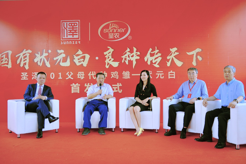 网投平台