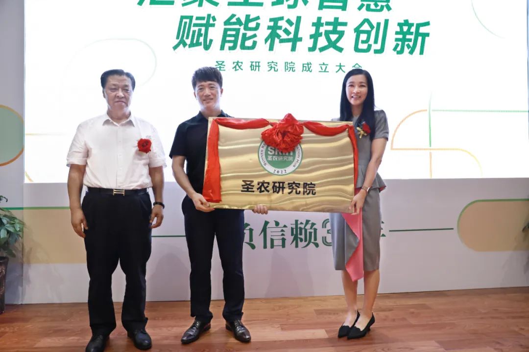 网投平台
