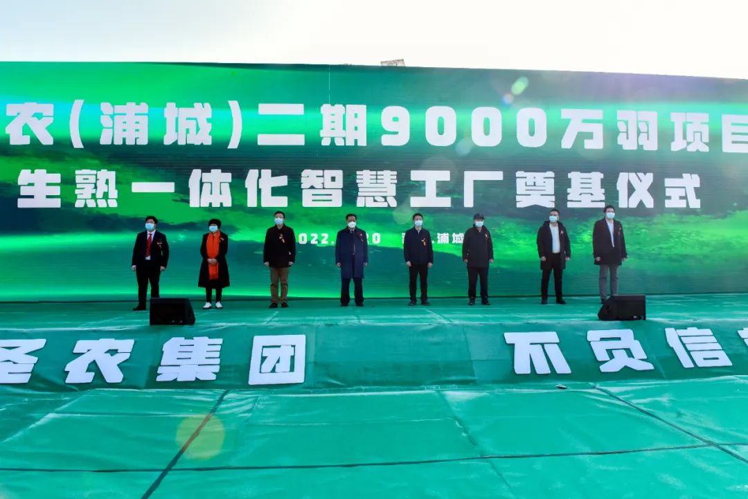 网投平台
