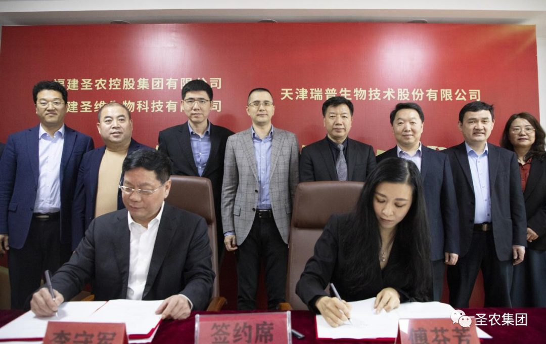 网投平台
