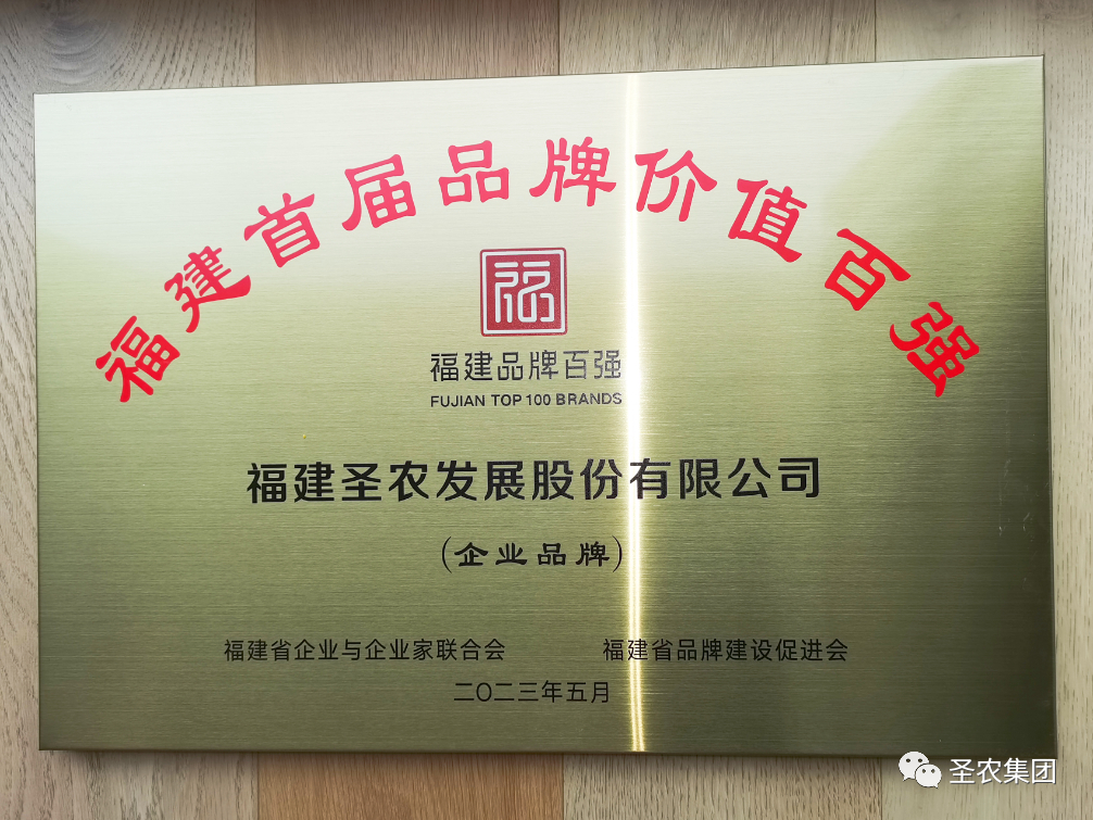 网投平台