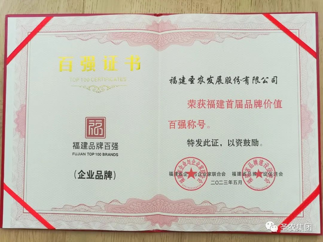 网投平台
