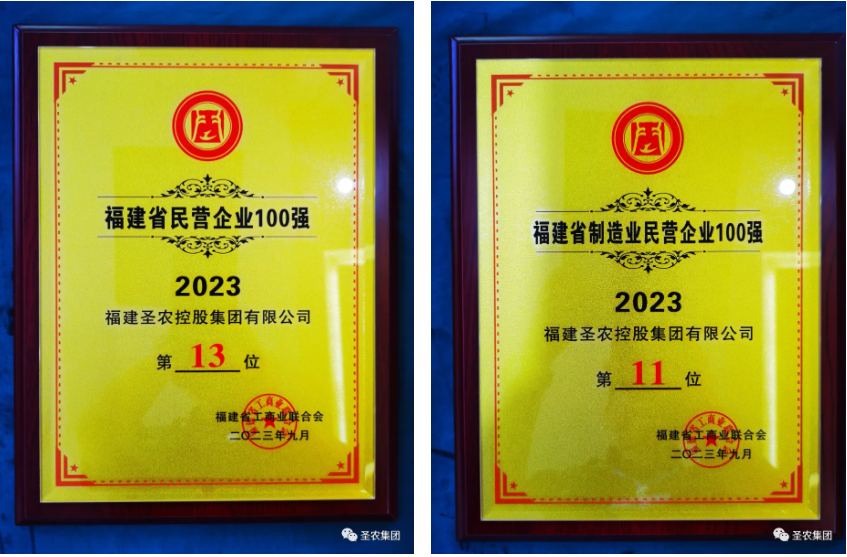 网投平台