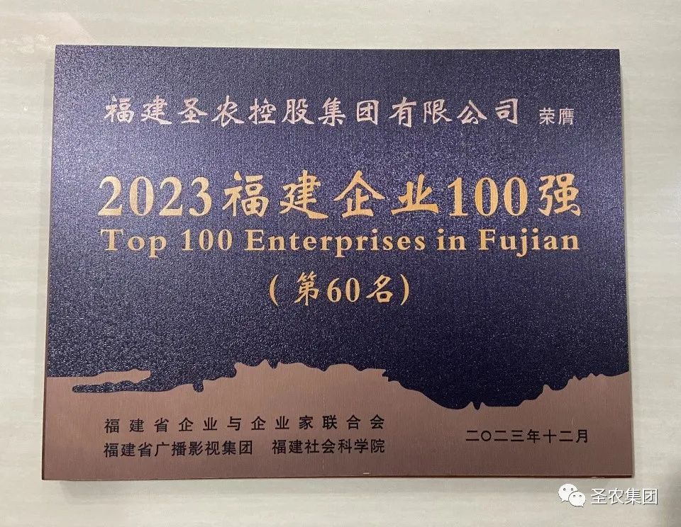 网投平台