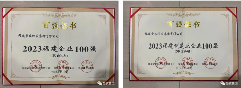 网投平台