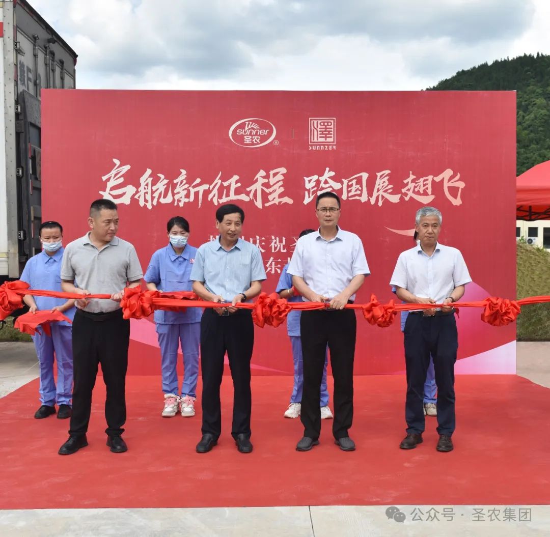 网投平台
