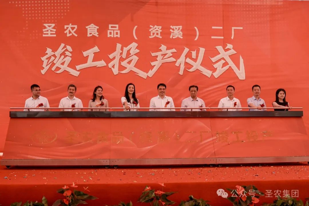 网投平台