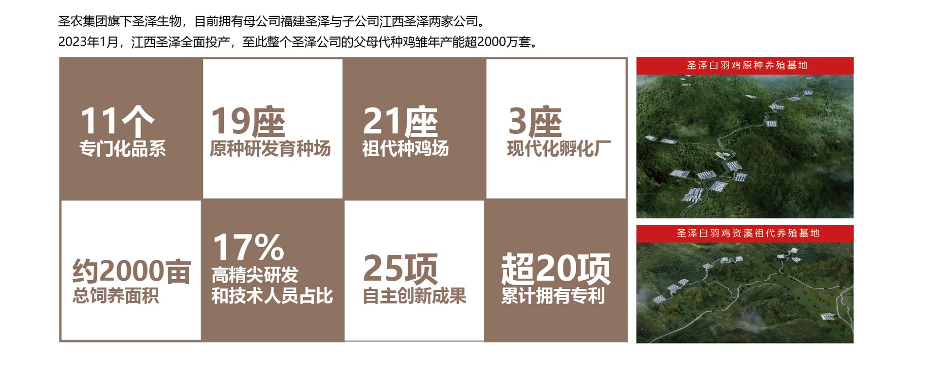 网投平台